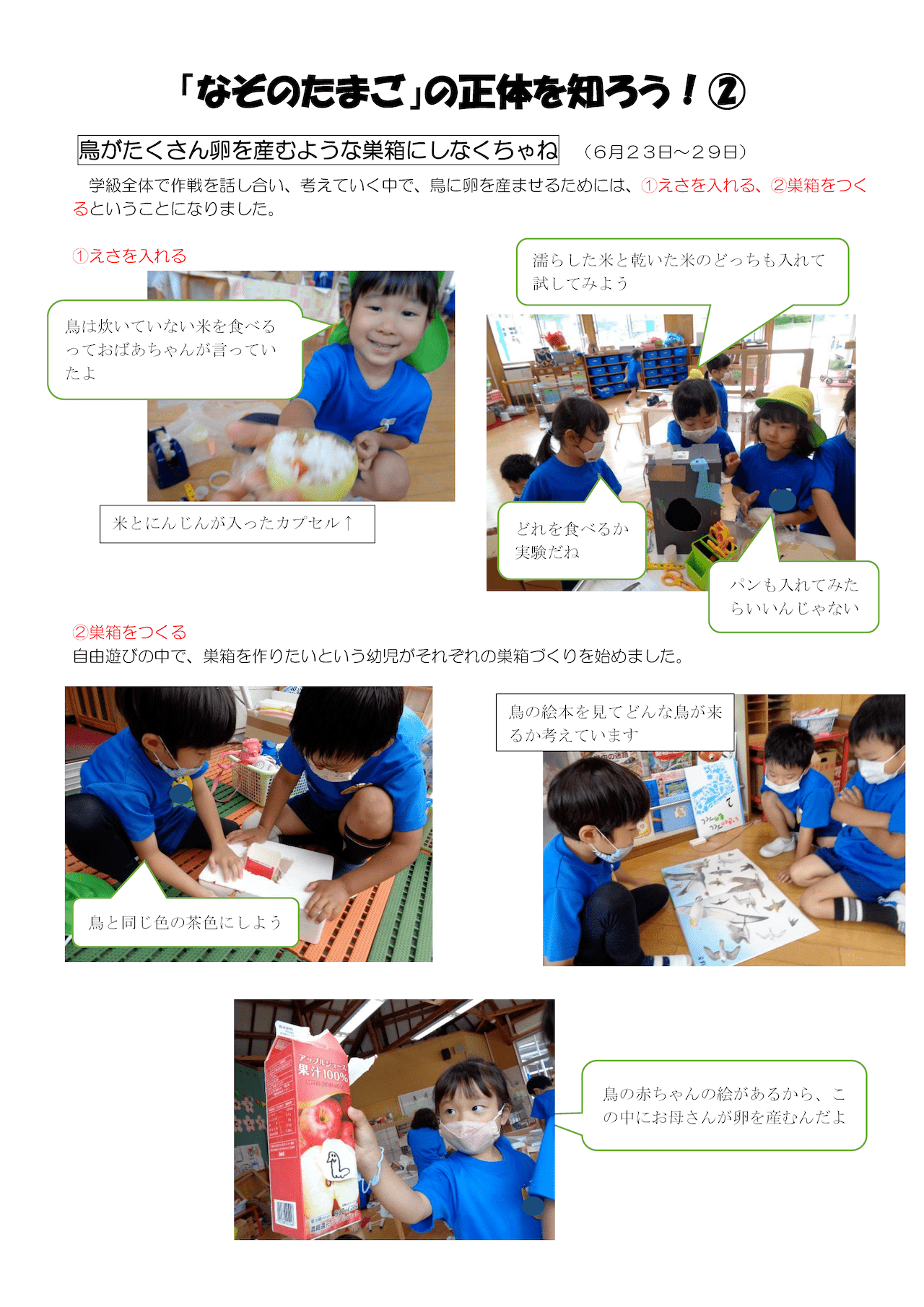 令和2年11月13日「謎の卵の正体を知ろう(２)」