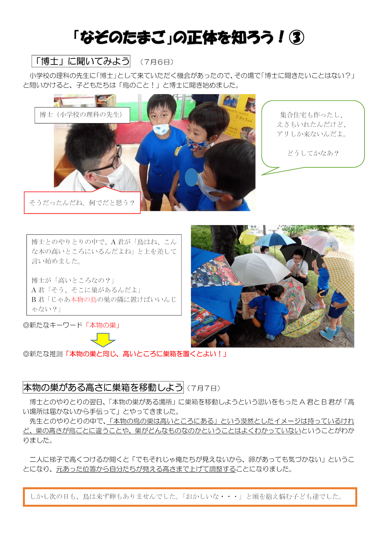 令和2年11月20日「謎の卵の正体を知ろう(３)」